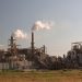 Commodities giant ADM exploits green fuel loophole, UK producers say