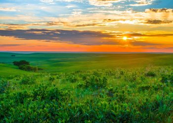 17 Best Rural Side Hustles To Make Extra Money