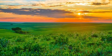 17 Best Rural Side Hustles To Make Extra Money