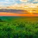 17 Best Rural Side Hustles To Make Extra Money