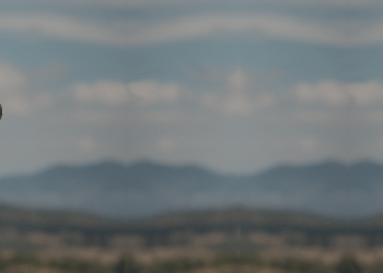 Market Forecast for the Week of May 19 – 23, 2025 – Analytics & Forecasts – 17 May 2025