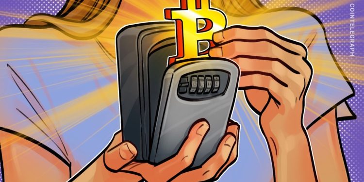 Bitcoin fractal, boost in HODLers hints at rally to $120K