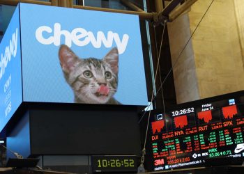 Stocks making the biggest moves premarket: CCL, CHWY, KBH, LMT