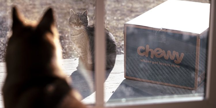 Stocks making the biggest moves midday: OKLO, CHWY, QUBT, GTLB