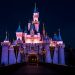 $1,000 Disneyland Breakfast Sparks Outrage: Dad Says He ‘Almost Spit Out My Coffee’