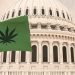 Federal Crackdown On Hemp-Derived THC, Cannabinoids Advances In Congress, Industry Warns Of Collapse