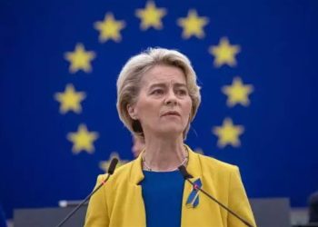 EY weighs lowering tariffs on US imports to woo Trump – report