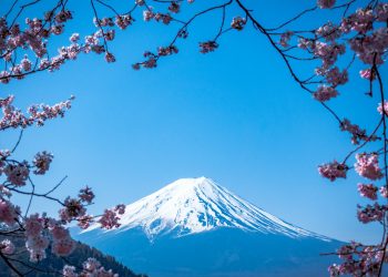 Ripple And Japan’s Web3 Salon Spark Asia Innovation