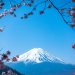 Ripple And Japan’s Web3 Salon Spark Asia Innovation