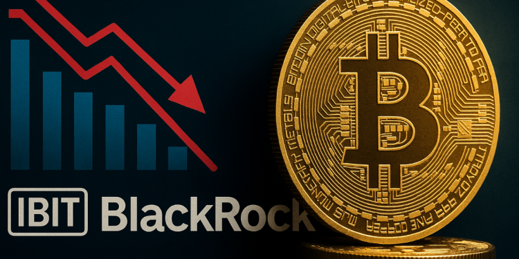 BlackRock’s IBIT Adds 6,000 BTC Amid ETF Outflows
