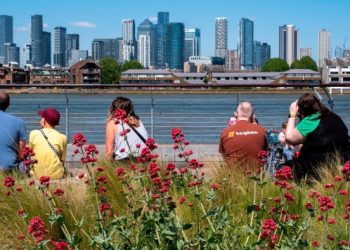 Number of investment trusts falls by a fifth