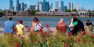 Number of investment trusts falls by a fifth