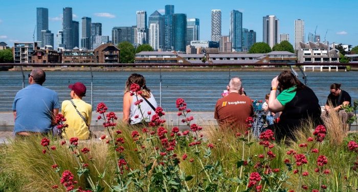 Number of investment trusts falls by a fifth