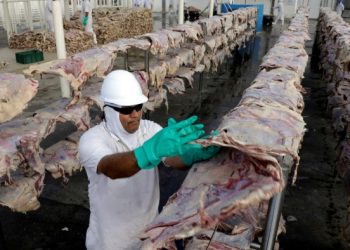 Brazilian beef is a dubious dish for US investors