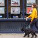 Return of 100% mortgage gathers pace as lenders target first-time buyers