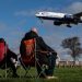 IAG boss takes advantage of rising share price