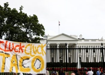 Last call for Tacos?