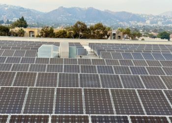 Why investors remain bullish on US renewables