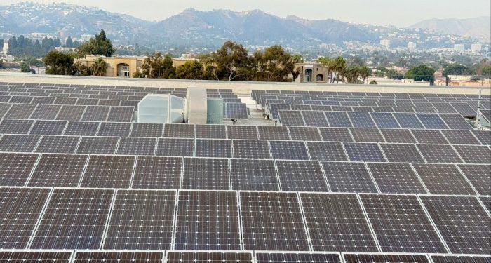 Why investors remain bullish on US renewables