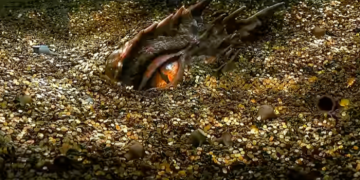 Reserving judgment on the gold rally