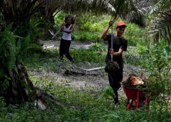 Easing off the green squeeze doesn’t make the EU a development hero