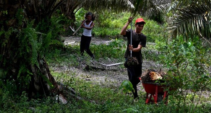 Easing off the green squeeze doesn’t make the EU a development hero