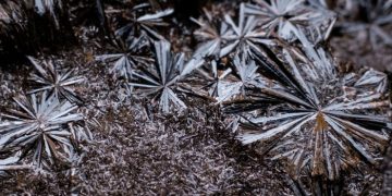 The race for better batteries could charge up an unloved metal