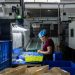 China’s manufacturing activity shrinks for third straight month