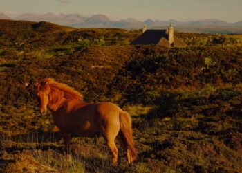 A hedge fund manager’s radical vision for a remote Scottish island