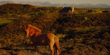 A hedge fund manager’s radical vision for a remote Scottish island