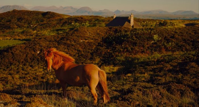 A hedge fund manager’s radical vision for a remote Scottish island