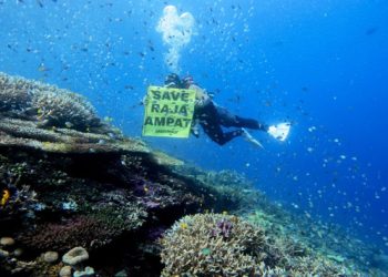 Indonesia launches rare crackdown on nickel mines in ‘last paradise’