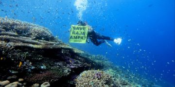 Indonesia launches rare crackdown on nickel mines in ‘last paradise’