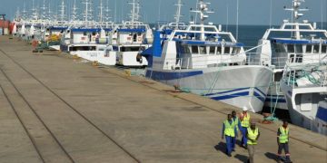 Heirs to the tuna bond saga