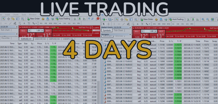 🎯📈 Wolf Pack Fury EA MT4🎯📈 – Trading Systems – 13 June 2025