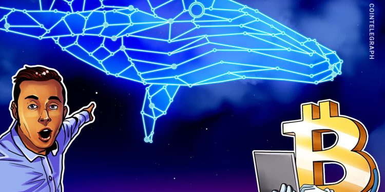 Bitcoin Profit-Taking Surges as New Whales Realize Billions