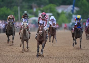 Pros And Cons For All Eight Contenders