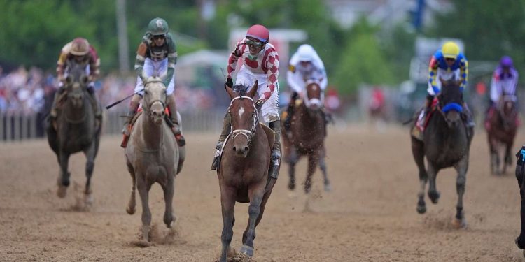 Pros And Cons For All Eight Contenders