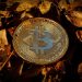 Elon Musk’s SpaceX Moves Bitcoin Holdings For The First Time In 3 Years, Here’s Where It Went