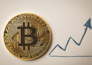 Bitcoin Hits Another Record High, Tops $113,800 on Institutional Inflows