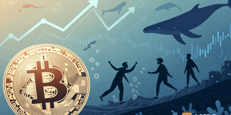 Bitcoin – Examining if BTC could rally +20% before bears step in