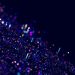 Quantum Stock Watch: Bullish Analyst Coverage On IonQ, D-Wave, Rigetti Computing – D-Wave Quantum (NYSE:QBTS), IonQ (NYSE:IONQ)