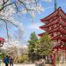 Crypto Tax Cuts Could Unleash Bitcoin Buying Spree In Japan
