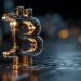 Bitcoin Rally Not Over Yet, Binance Whales Behind New ATH