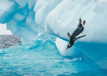 Slow internet speed on Linux? This 30-second fix makes all the difference