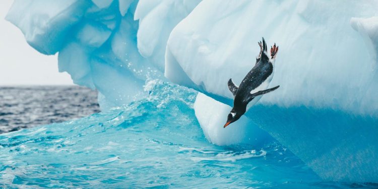 Slow internet speed on Linux? This 30-second fix makes all the difference