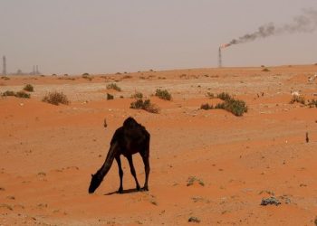 Gulf oil giants tighten their belts