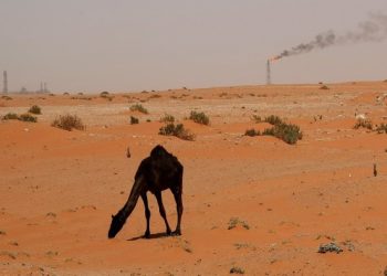 Gulf oil companies slow $60bn acquisition spree as crude prices fall