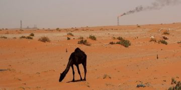 Gulf oil companies slow $60bn acquisition spree as crude prices fall