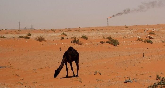 Gulf oil companies slow $60bn acquisition spree as crude prices fall